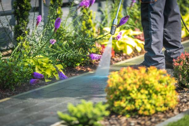 Best Dumpster Area Cleaning  in Maltby, WA