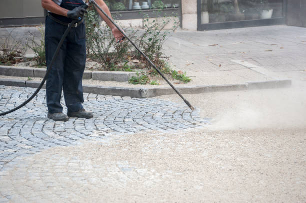 Best Fence Cleaning  in Maltby, WA